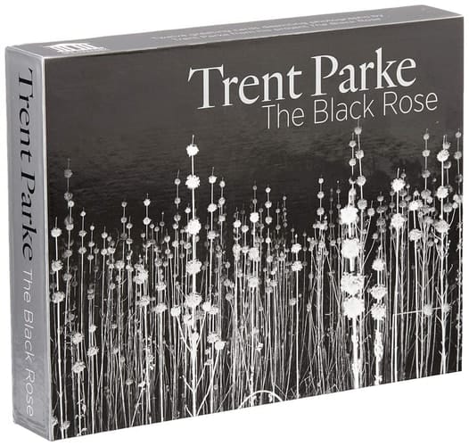 Nano Hybrids Volume 1