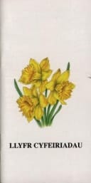 Llyfr Cyfeiriadau - Cennin Pedr