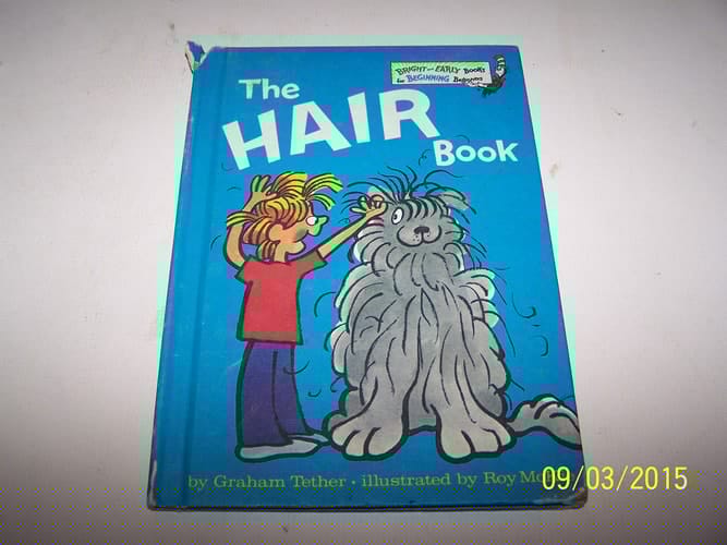 Hair Book (Beginner Books)