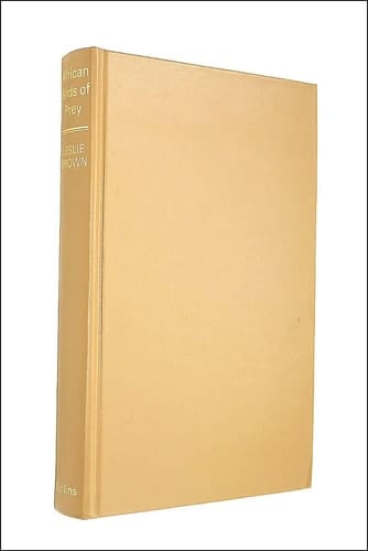 African birds of prey