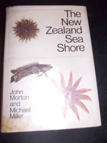 The New Zealand Sea Shore