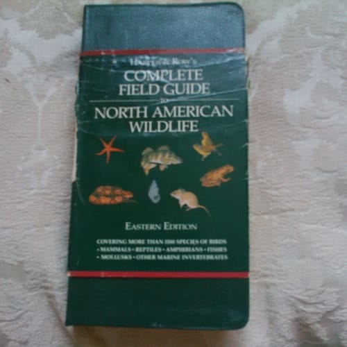 A Field Guide to the Birds of South East Asia (Collins Pocket Guide)