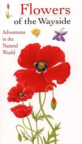 Flowers of the Wayside (Collins Watch Guide)