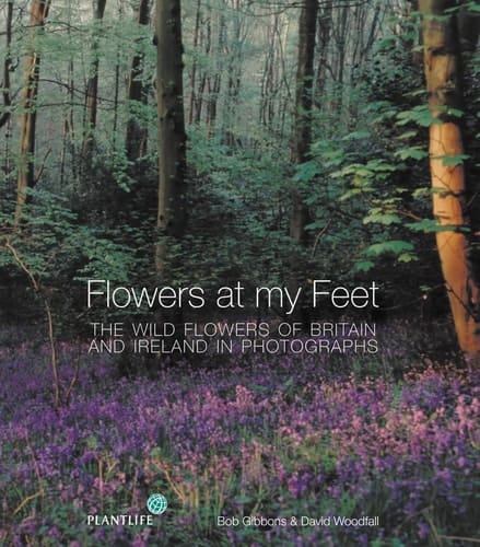 Flowers at My Feet: The Wild Flowers of Britain and Ireland in Photographs