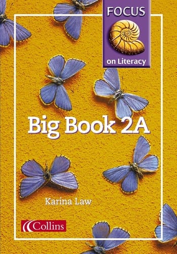 Focus on Literacy: Big Book 2A (Focus on Literacy)