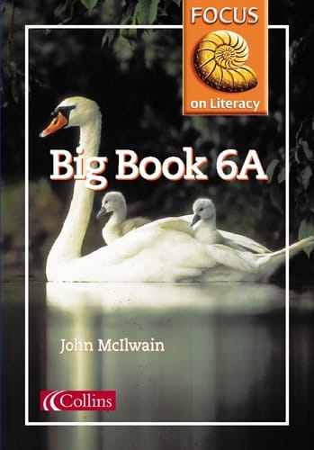 Focus on Literacy: Big Book 6A (Focus on Literacy)