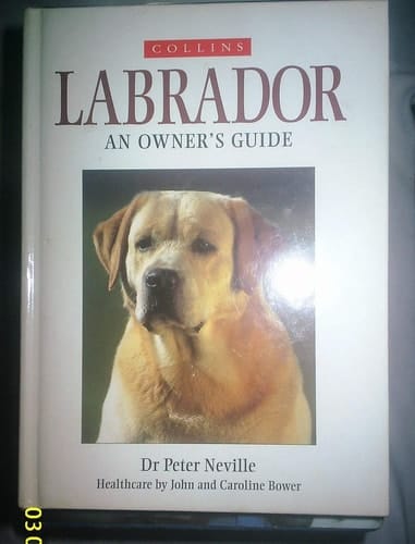 Collins Dog Owner's Guide: Labrador (Collins Dog Owner's Guides)