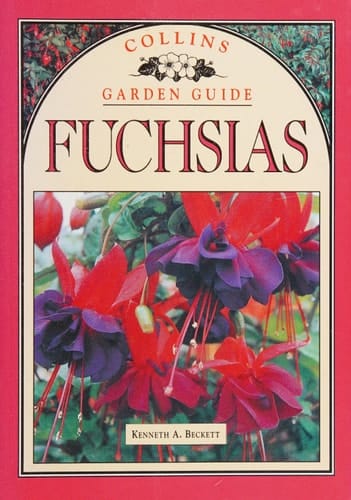 Fuchsias