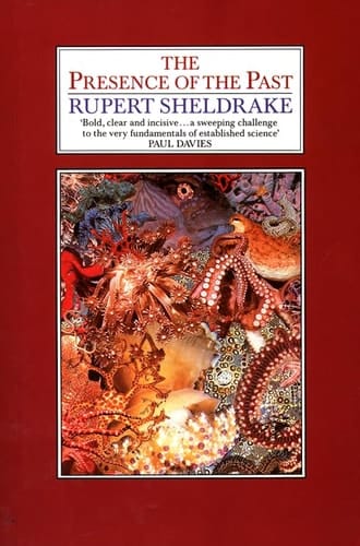 The Presence of the Past