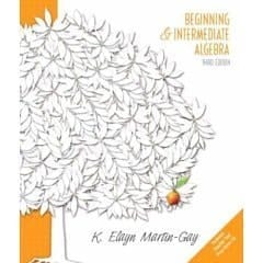 Beginning & Intermediate Algebra- Text Only