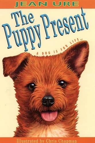 The Puppy Present (Collins Red Storybooks)