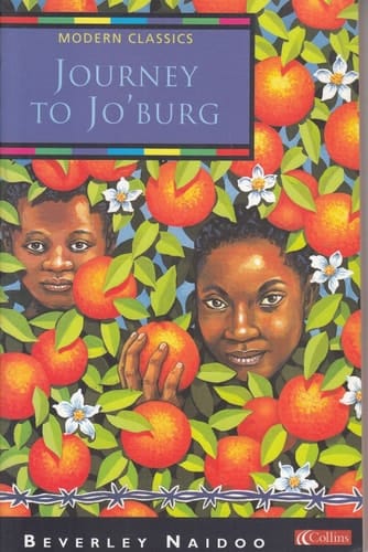 Journey to Jo'Burg : A South African Story