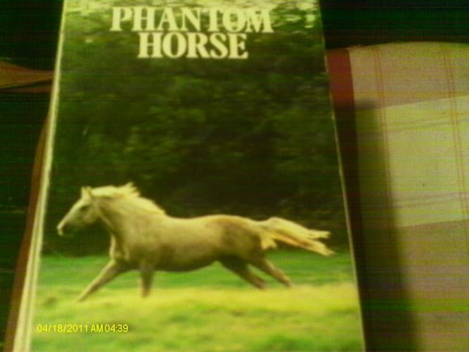 Phantom horse (An Armada pony book)