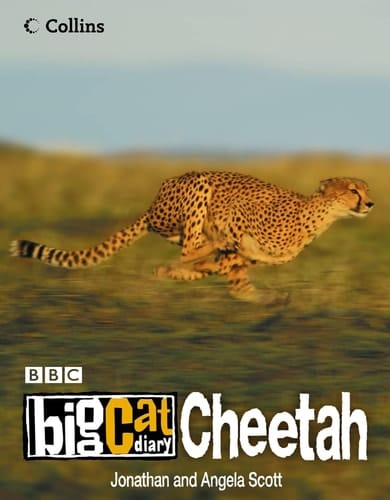 Cheetah (Big Cat Diary)