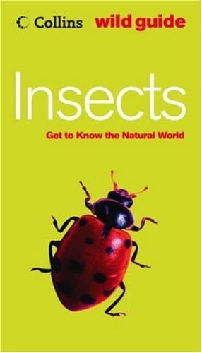 Insects