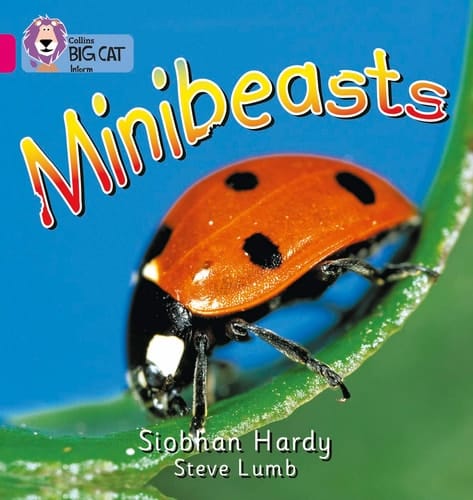 Minibeasts (Collins Big Cat)