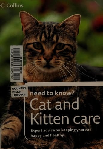 Cat and Kitten Care