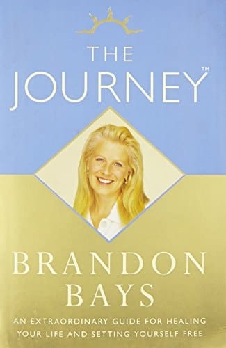 The Journey [Paperback] [Feb 19, 2007] BRANDON BAYS