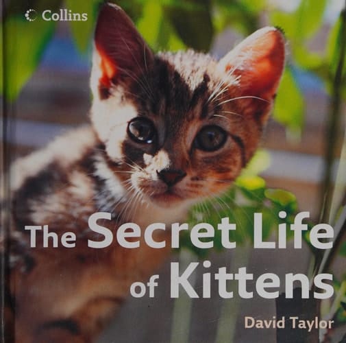 The Secret Life of Kittens