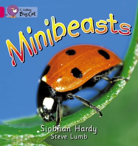 Minibeasts Workbook
