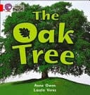 Collins Big Cat - the Oak Tree: Band 02b/Red B