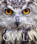 Parliament Of Owls