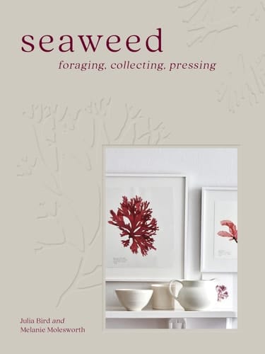 Seaweed Foraging, Collecting, Pressing