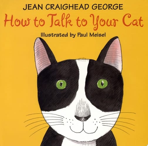How to Talk to Your Cat