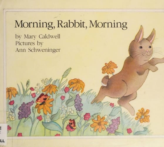 Morning, Rabbit, Morning