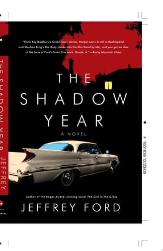 The Shadow Year