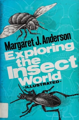 Exploring the insect world,