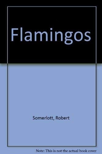 Flamingos