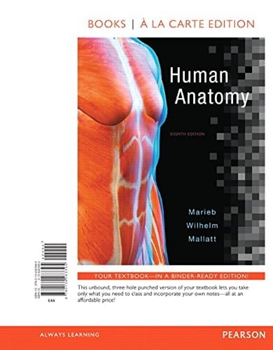 Human Anatomy