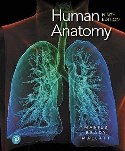 Human Anatomy