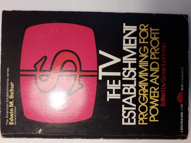 The TV Establishment: Programming for Power and Profit