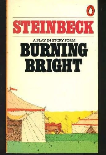 Burning Bright: A Play in Story Form