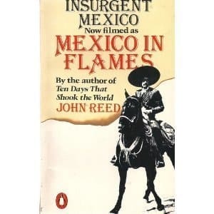 Insurgent Mexico