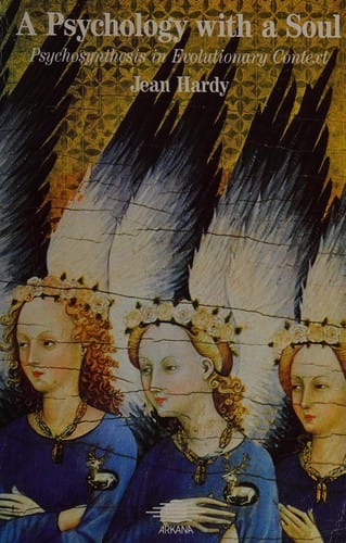 A Psychology with a Soul: Psychosynthesis in Evolutionary Context (Arkana)