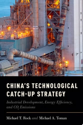 China's Technological Catch-Up Strategy: Industrial Development, Energy Efficiency, and CO2 Emissions