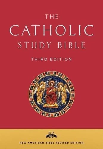 Senior, D: Catholic Study Bible