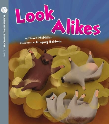 Look Alikes (Pack of 6 with Comprehension Coaching Card)