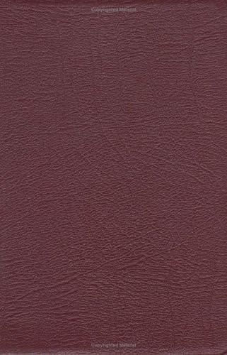 New Revised Standard Version Bible Anglicized Presentation Edition