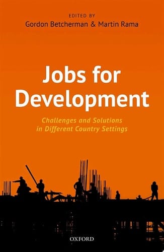 Jobs For Development: Challenges and Solutions in Different Country Settings