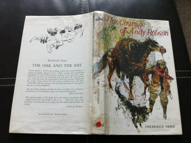 The Courage of Andy Robson