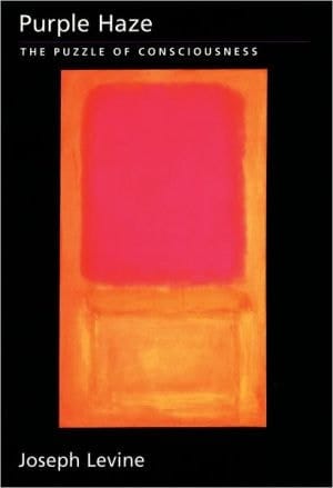 Purple Haze: The Puzzle of Consciousness (Philosophy of Mind Series)