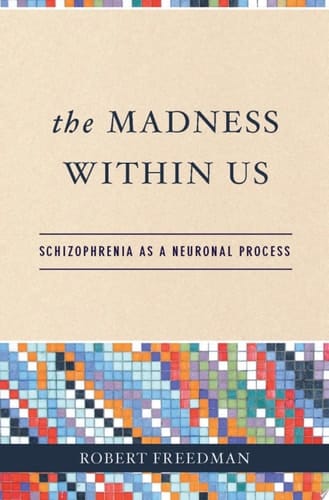 The Madness Within Us: Schizophrenia as a Neuronal Process