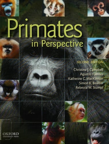 Primates in Perspective