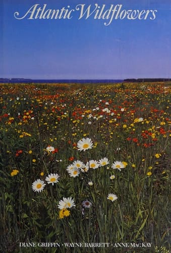 Atlantic wildflowers