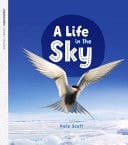 A Life In The Sky, Level 28