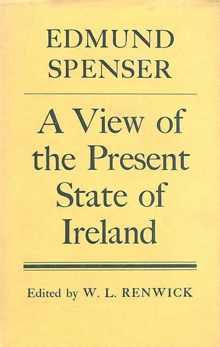 A view of the present state of Ireland;